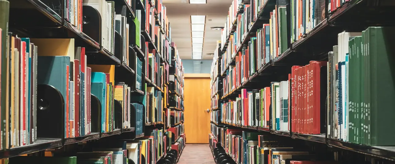 Education / Universities