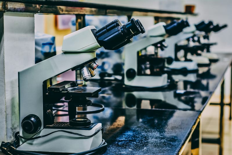 Life Sciences / Biotech